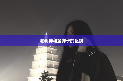 老鸦柿和金弹子的区别