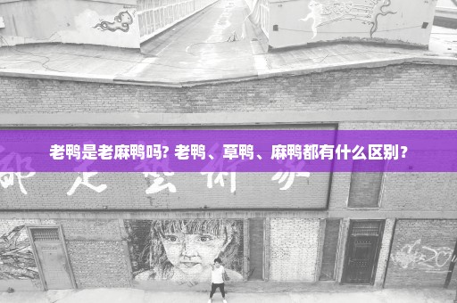 老鸭是老麻鸭吗? 老鸭、草鸭、麻鸭都有什么区别？