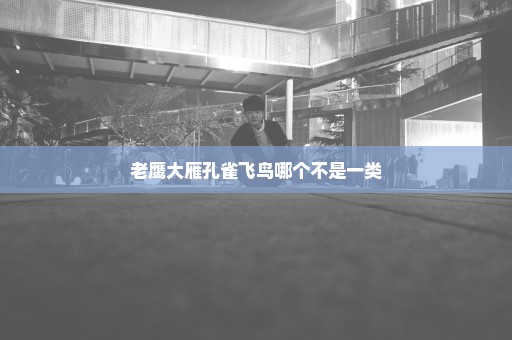 老鹰大雁孔雀飞鸟哪个不是一类