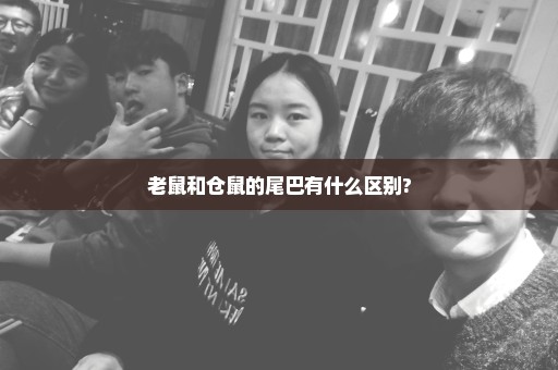 老鼠和仓鼠的尾巴有什么区别?