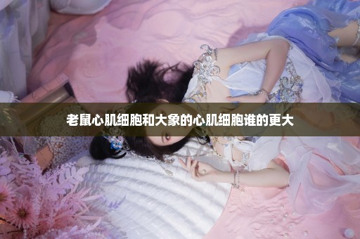 老鼠心肌细胞和大象的心肌细胞谁的更大