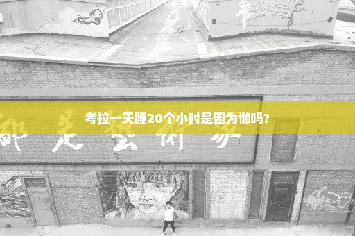 考拉一天睡20个小时是因为懒吗？