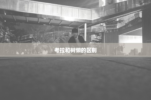 考拉和树懒的区别