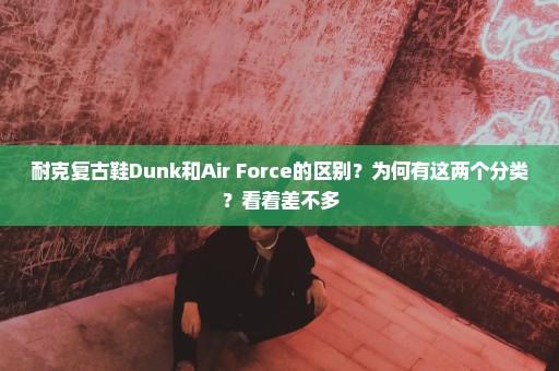 耐克复古鞋Dunk和Air Force的区别？为何有这两个分类？看着差不多