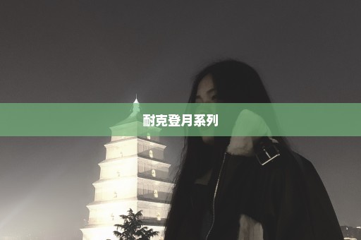 耐克登月系列