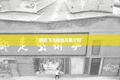 耐克飞马和登月哪个好