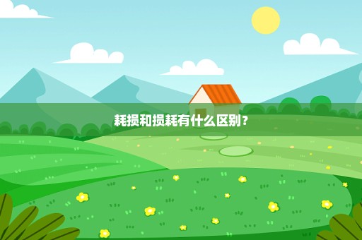 耗损和损耗有什么区别？
