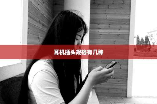 耳机插头规格有几种