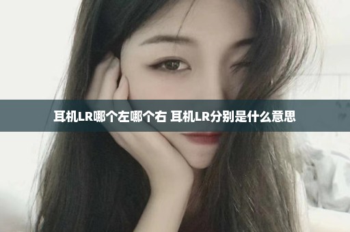 耳机LR哪个左哪个右 耳机LR分别是什么意思