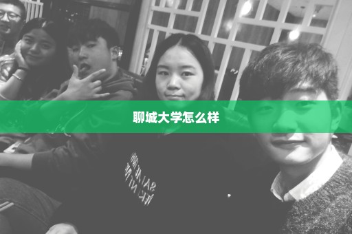 聊城大学怎么样