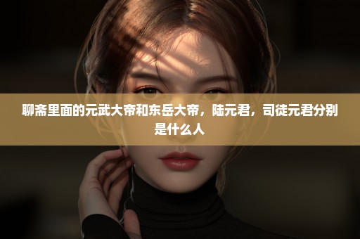 聊斋里面的元武大帝和东岳大帝，陆元君，司徒元君分别是什么人