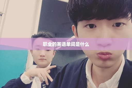 职业的英语单词是什么