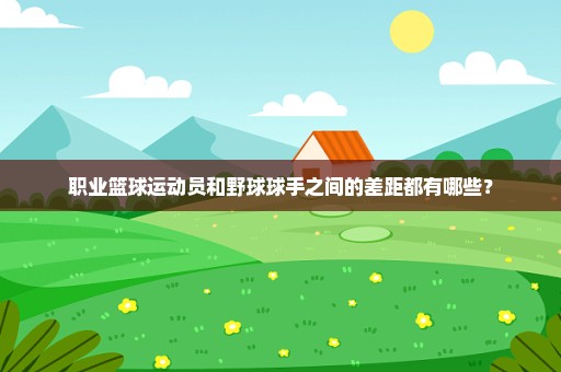 职业篮球运动员和野球球手之间的差距都有哪些？