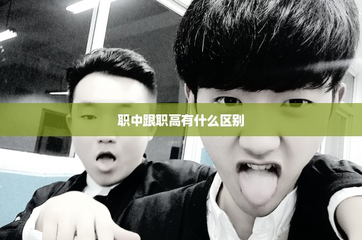 职中跟职高有什么区别