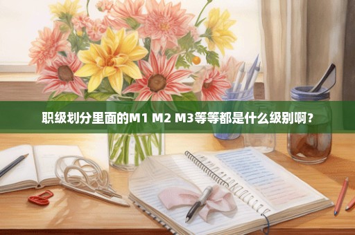 职级划分里面的M1 M2 M3等等都是什么级别啊？