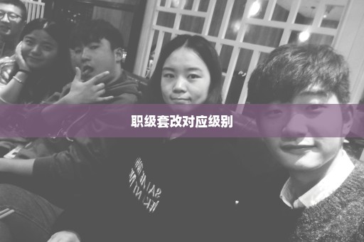 职级套改对应级别