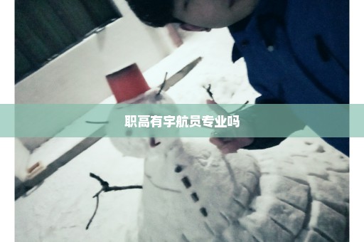 职高有宇航员专业吗