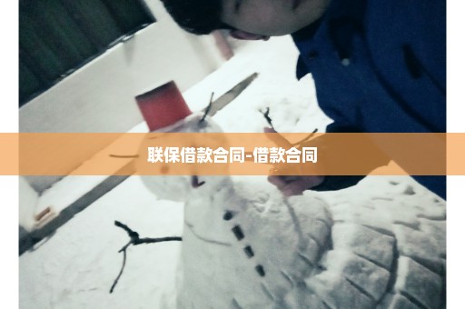 联保借款合同-借款合同