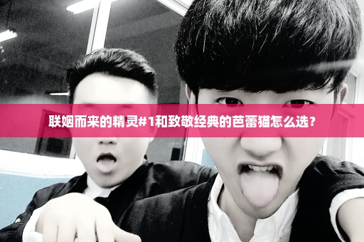 联姻而来的精灵#1和致敬经典的芭蕾猫怎么选？
