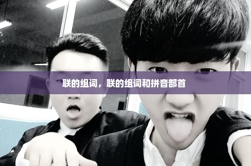 联的组词，联的组词和拼音部首 