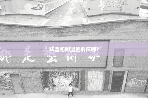 联盟和同盟区别在哪？
