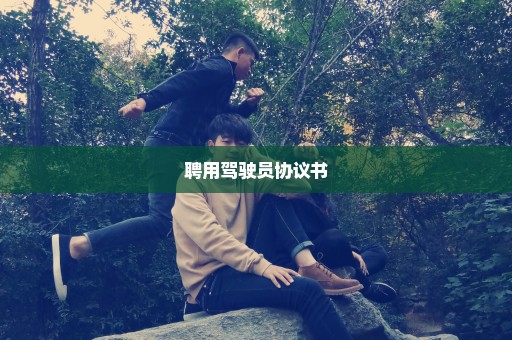 聘用驾驶员协议书