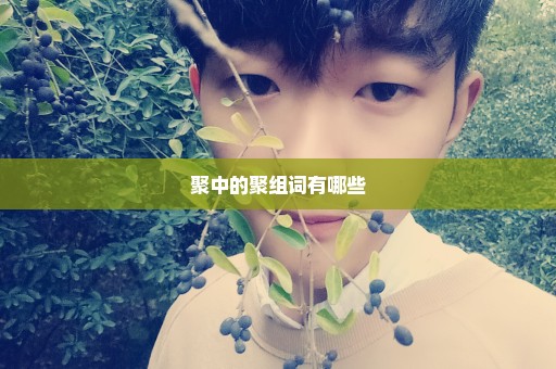 聚中的聚组词有哪些