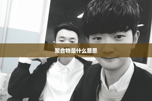 聚合物是什么意思