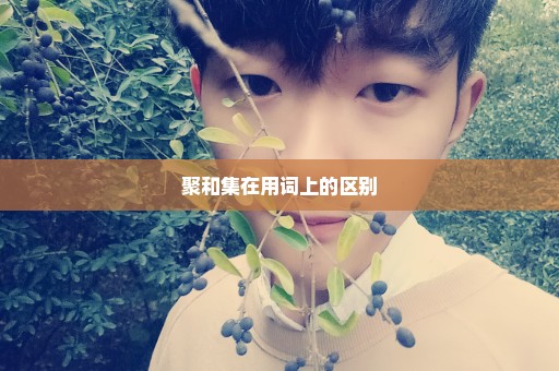 聚和集在用词上的区别