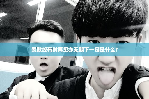 聚散终有时再见亦无期下一句是什么?