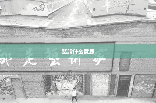 聚脂什么意思