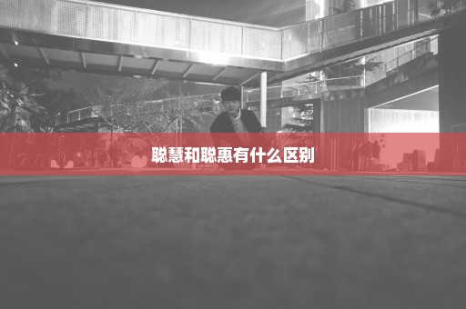 聪慧和聪惠有什么区别