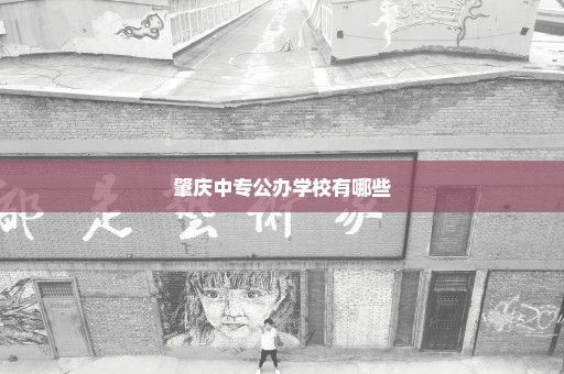 肇庆中专公办学校有哪些