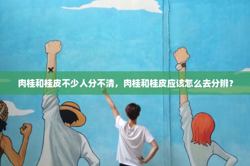 肉桂和桂皮不少人分不清，肉桂和桂皮应该怎么去分辨？