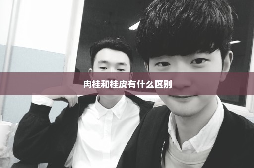 肉桂和桂皮有什么区别