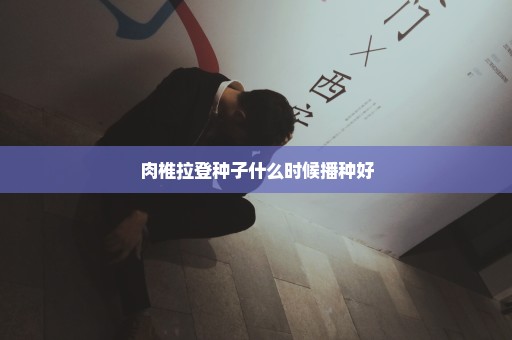 肉椎拉登种子什么时候播种好