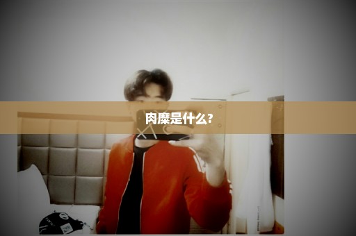 肉糜是什么?