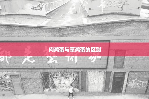肉鸡蛋与草鸡蛋的区别