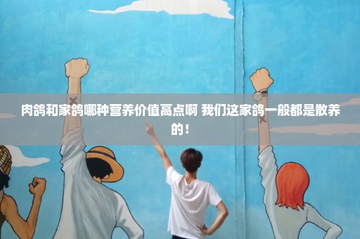 肉鸽和家鸽哪种营养价值高点啊 我们这家鸽一般都是散养的！