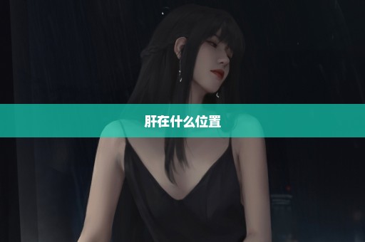 肝在什么位置