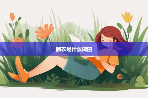 肠衣是什么做的