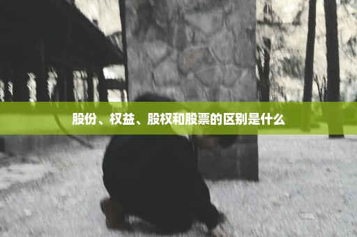 股份、权益、股权和股票的区别是什么