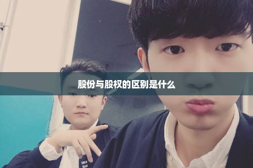 股份与股权的区别是什么