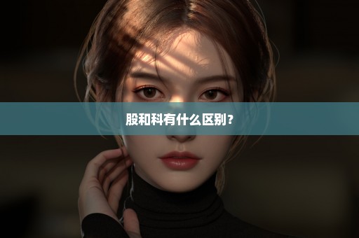 股和科有什么区别？