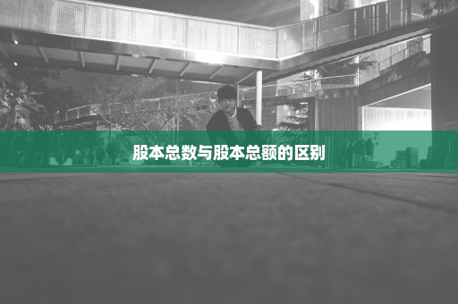 股本总数与股本总额的区别