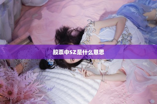 股票中SZ是什么意思