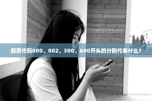 股票代码000、002、300、600开头的分别代表什么？