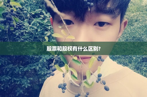 股票和股权有什么区别?