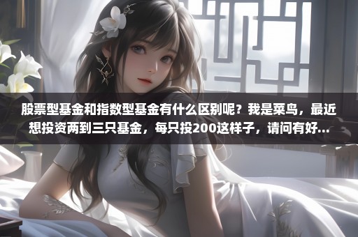 股票型基金和指数型基金有什么区别呢？我是菜鸟，最近想投资两到三只基金，每只投200这样子，请问有好...