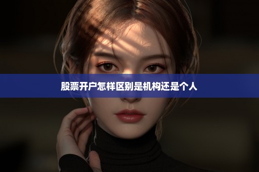 股票开户怎样区别是机构还是个人